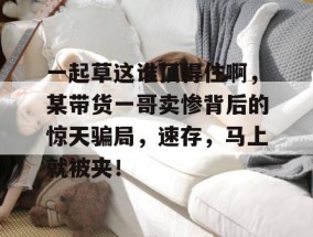 一起草这谁顶得住啊，某带货一哥卖惨背后的惊天骗局，速存，马上就被夹！